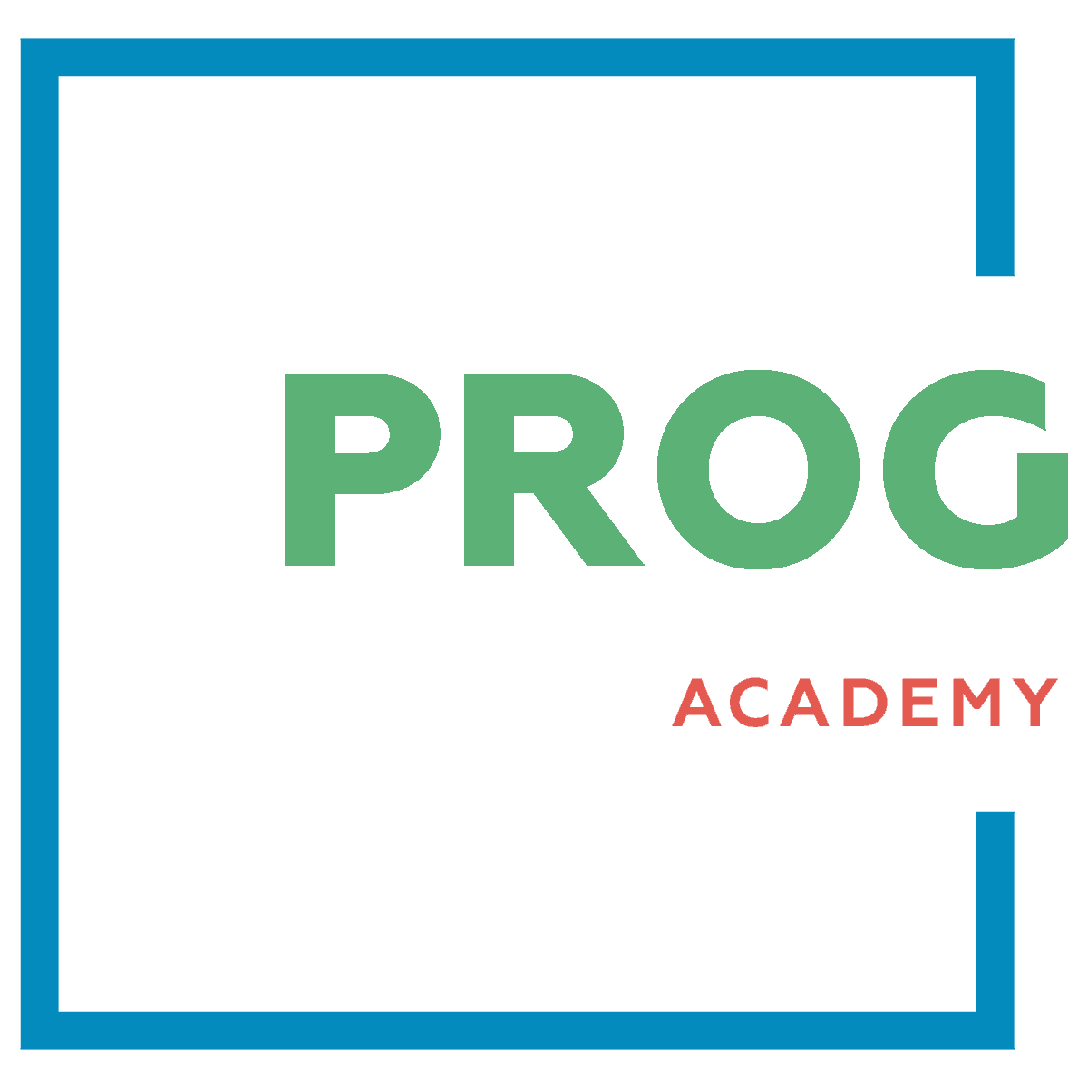 Prog Academy